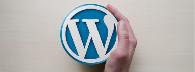 Actualización de WordPress