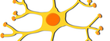 De Clker-Free-Vector-Images (https://pixabay.com/es/users/Clker-Free-Vector-Images-3736/) [Public Domain] vía Pixabay (https://pixabay.com/)